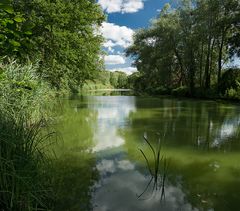 die Nieplitz bei Blankensee