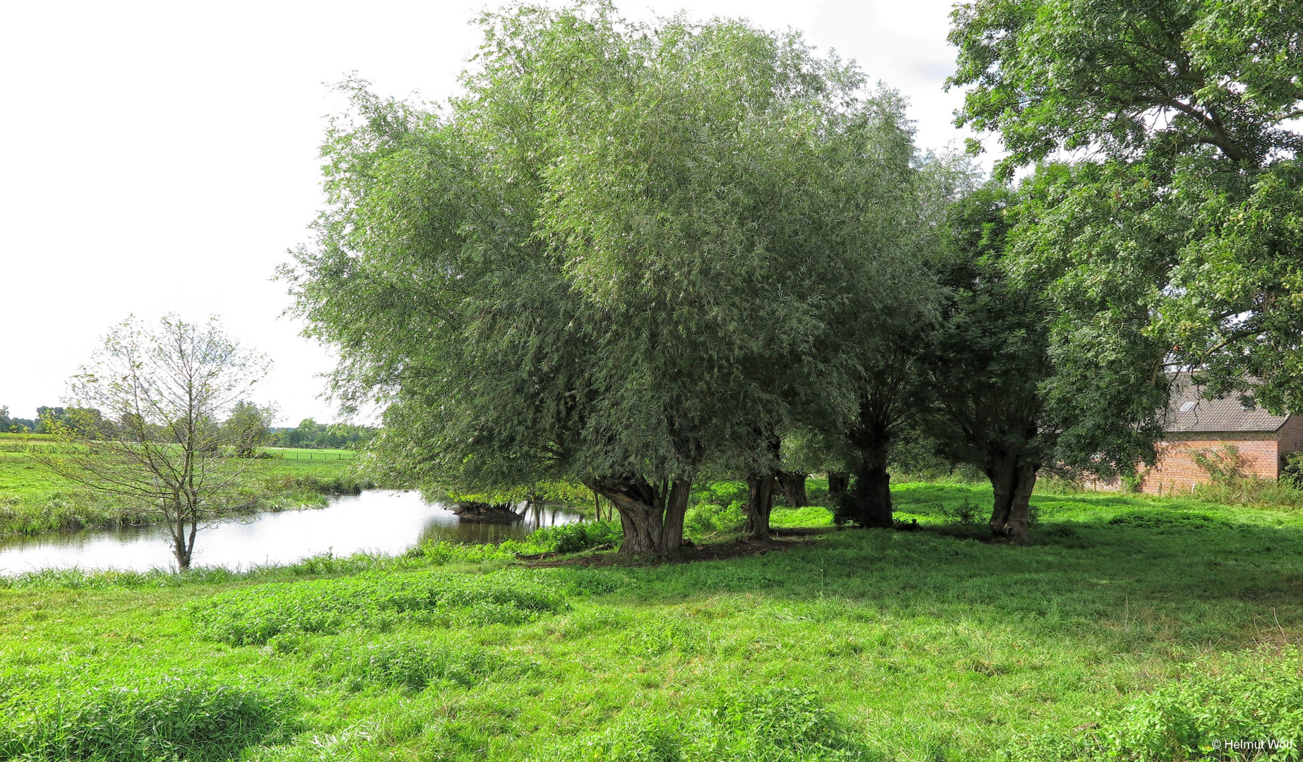 Die Niers an der Clörather Mühle 