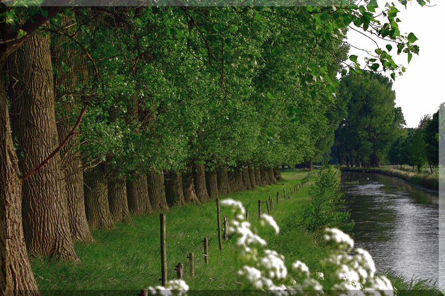 Die Niers in Wachtendonk