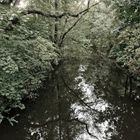 Die Niers - The River Niers