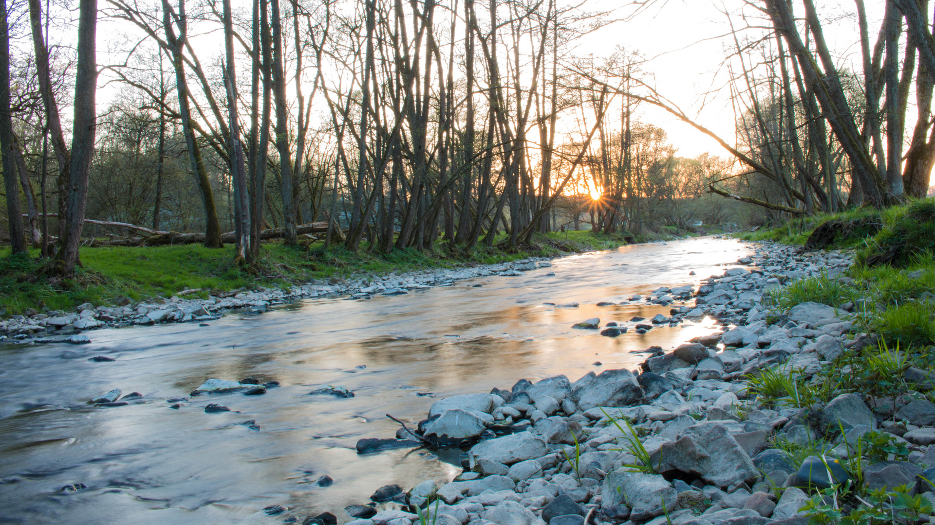 Die Nister im Westerwald