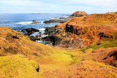  Die Nobbies, Phillip Island