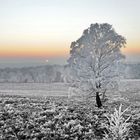 Die Nordheide im Raureif