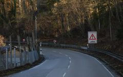 Die Nordschleife liegt auch bloß im Wald