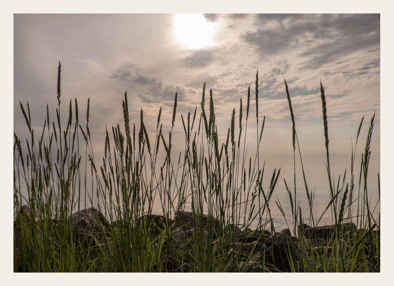 die Nordsee