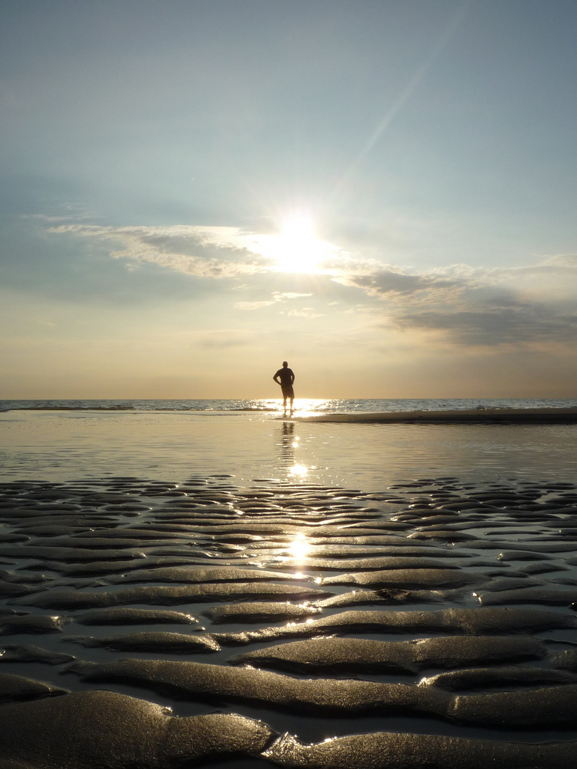 Die Nordsee 