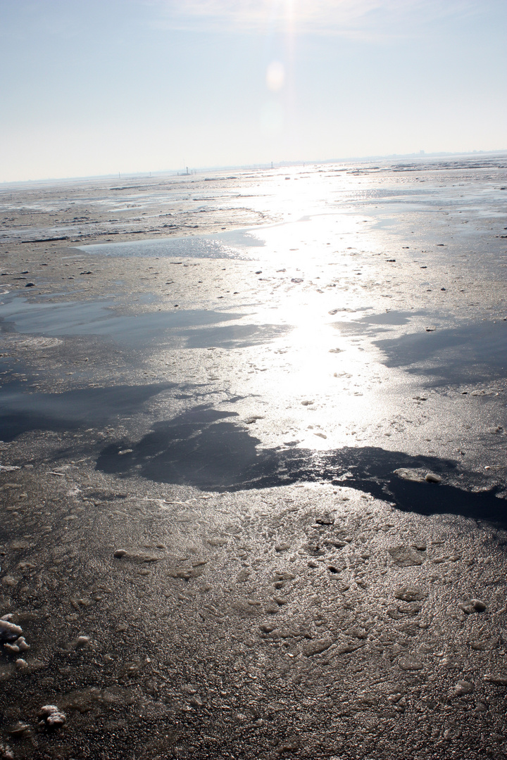 Die Nordsee