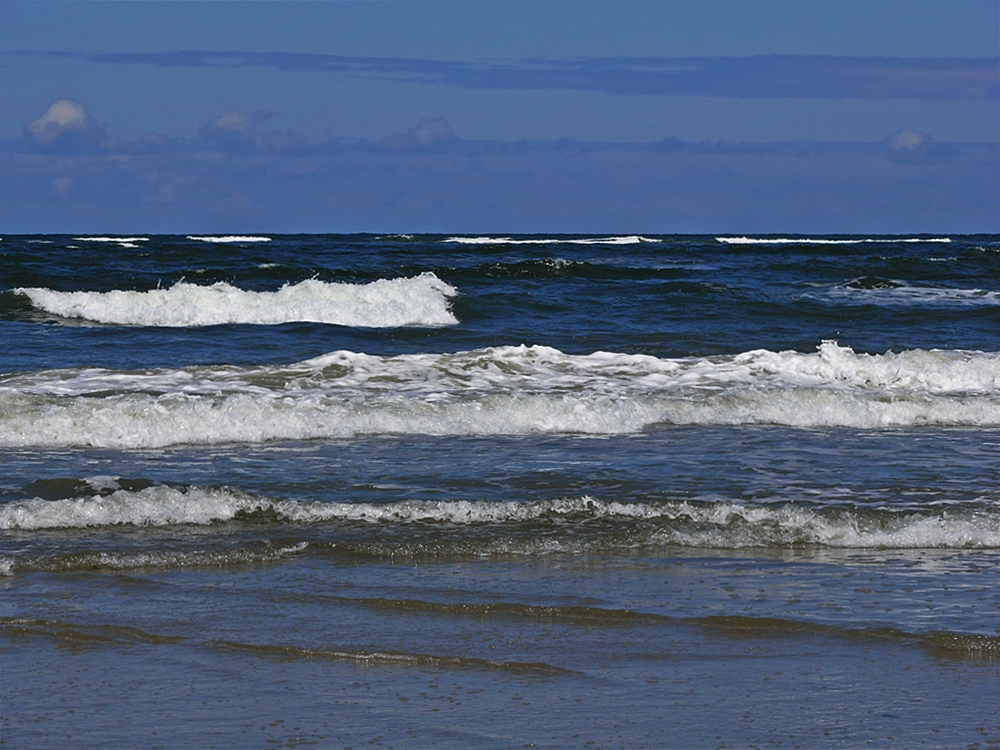 die Nordsee