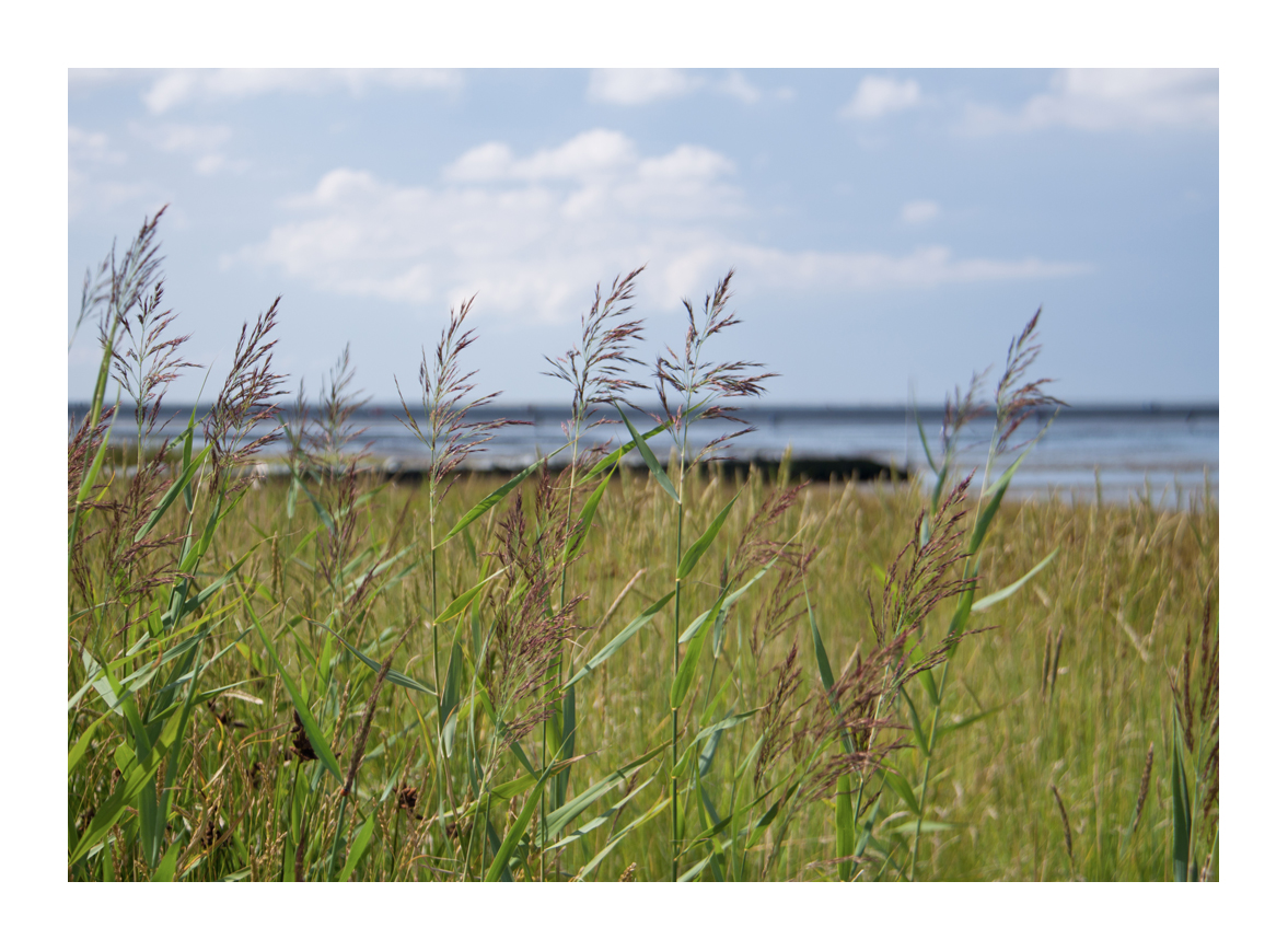 die Nordsee bei Cuxhaven