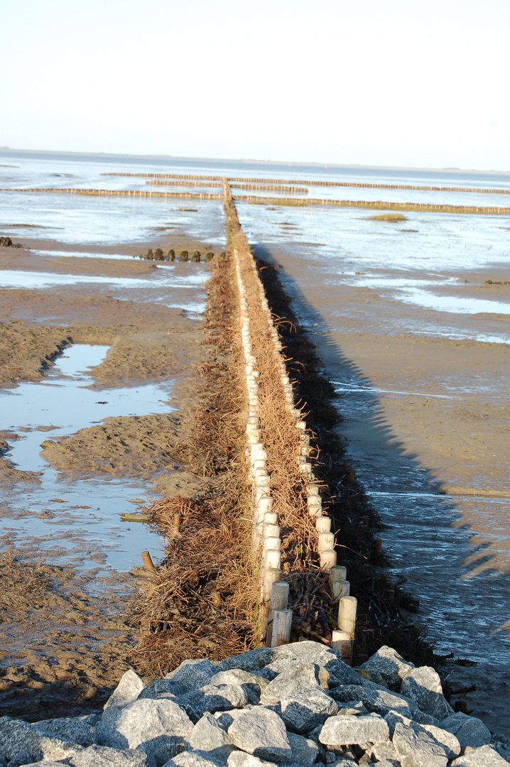 Die Nordsee im Winter