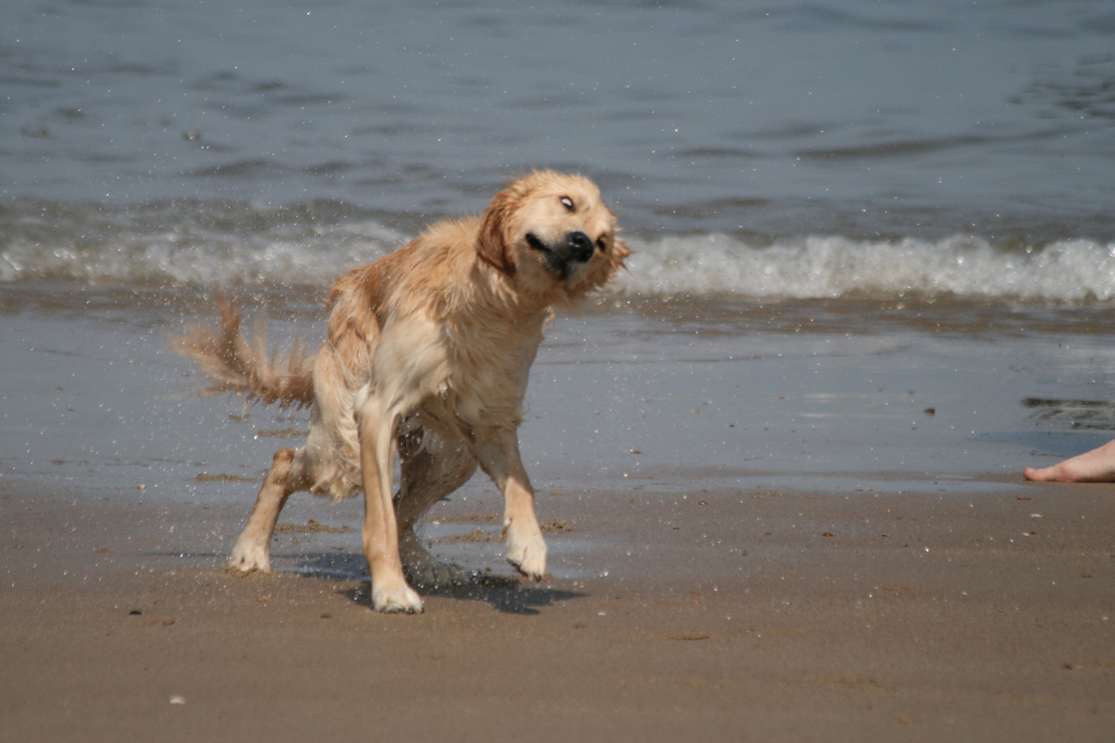 Die Nordsee ist naß