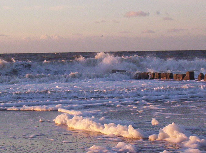 Die Nordsee, Januar 2005