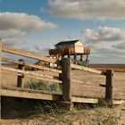 Die Nordsee kann so schön sein !