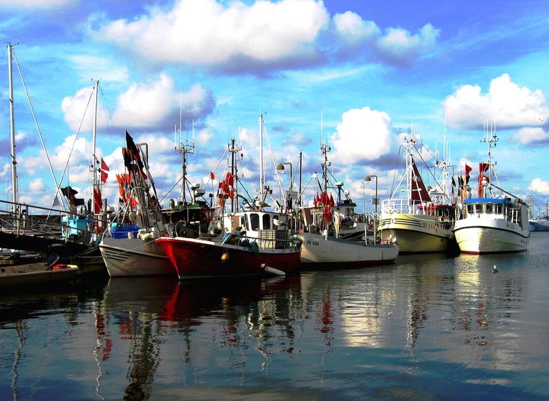 die Nordsee leergefischt ? ...alle Boote im Hafen