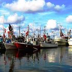 die Nordsee leergefischt ? ...alle Boote im Hafen