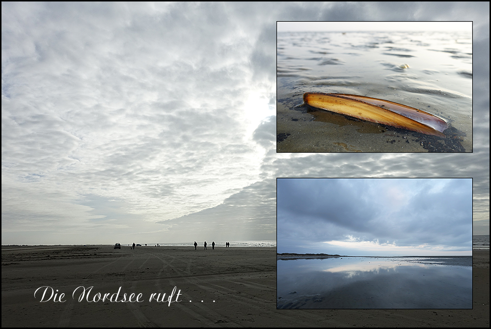 Die Nordsee ruft . . .