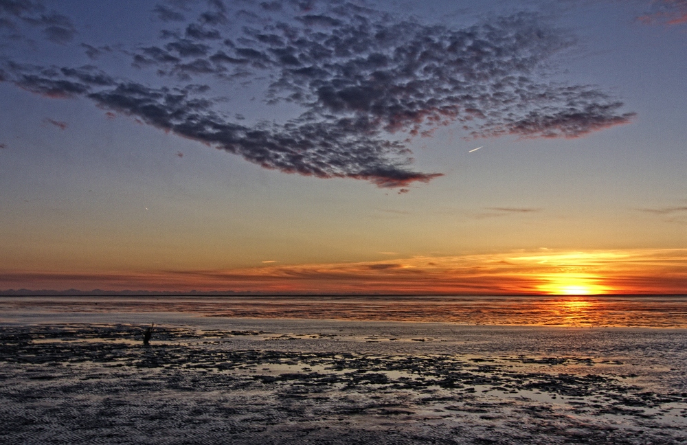 Die Nordsee ruft II