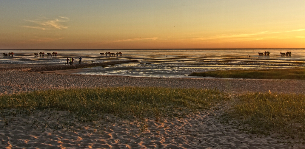 Die Nordsee ruft III