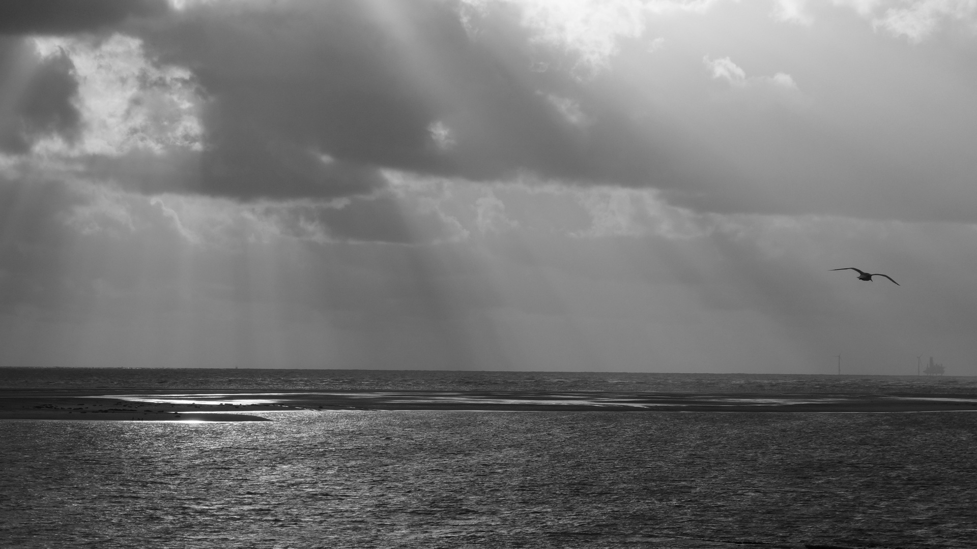 Die Nordseeküste bei Borkum. 