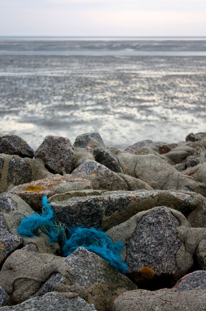 Die Nordseeküste bei Büsum