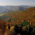 Die Nordvogesen leuchten in den schönsten Herbstfarben, ich stehe in...