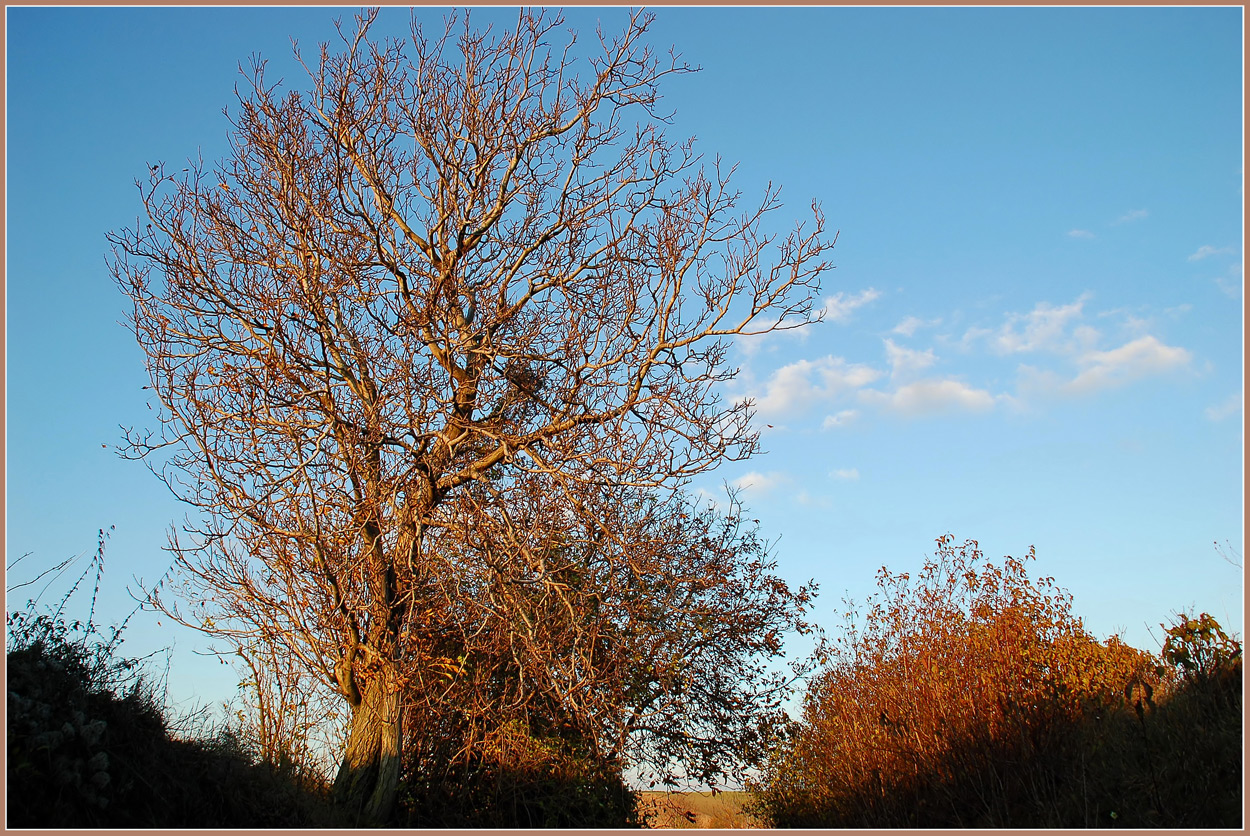 Die Novembersonne...