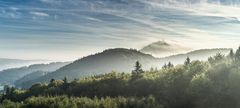 Die Nürburg im Nebelkleid