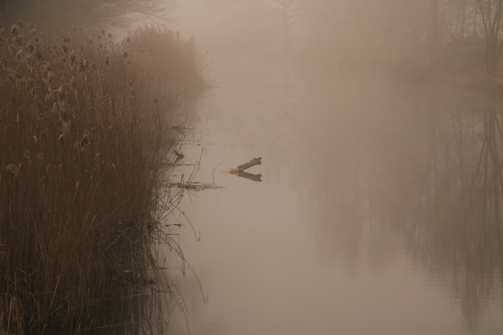 Die  Nuthe im Nebel