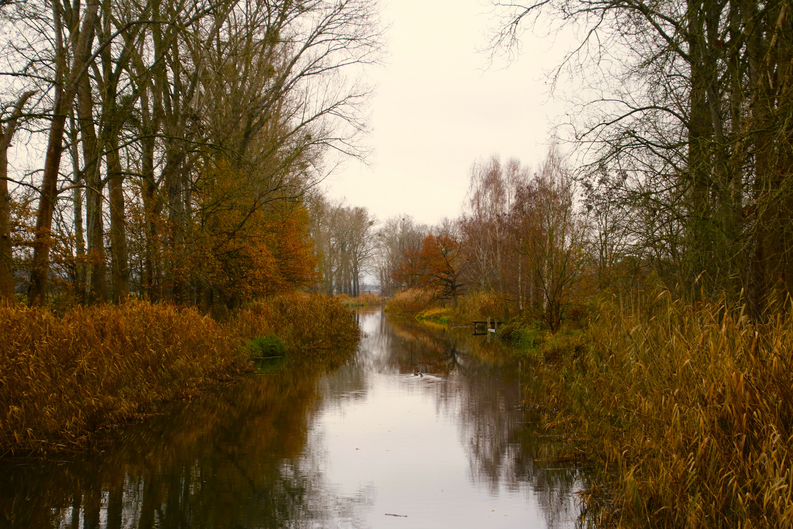 Die Nuthe in Saarmund