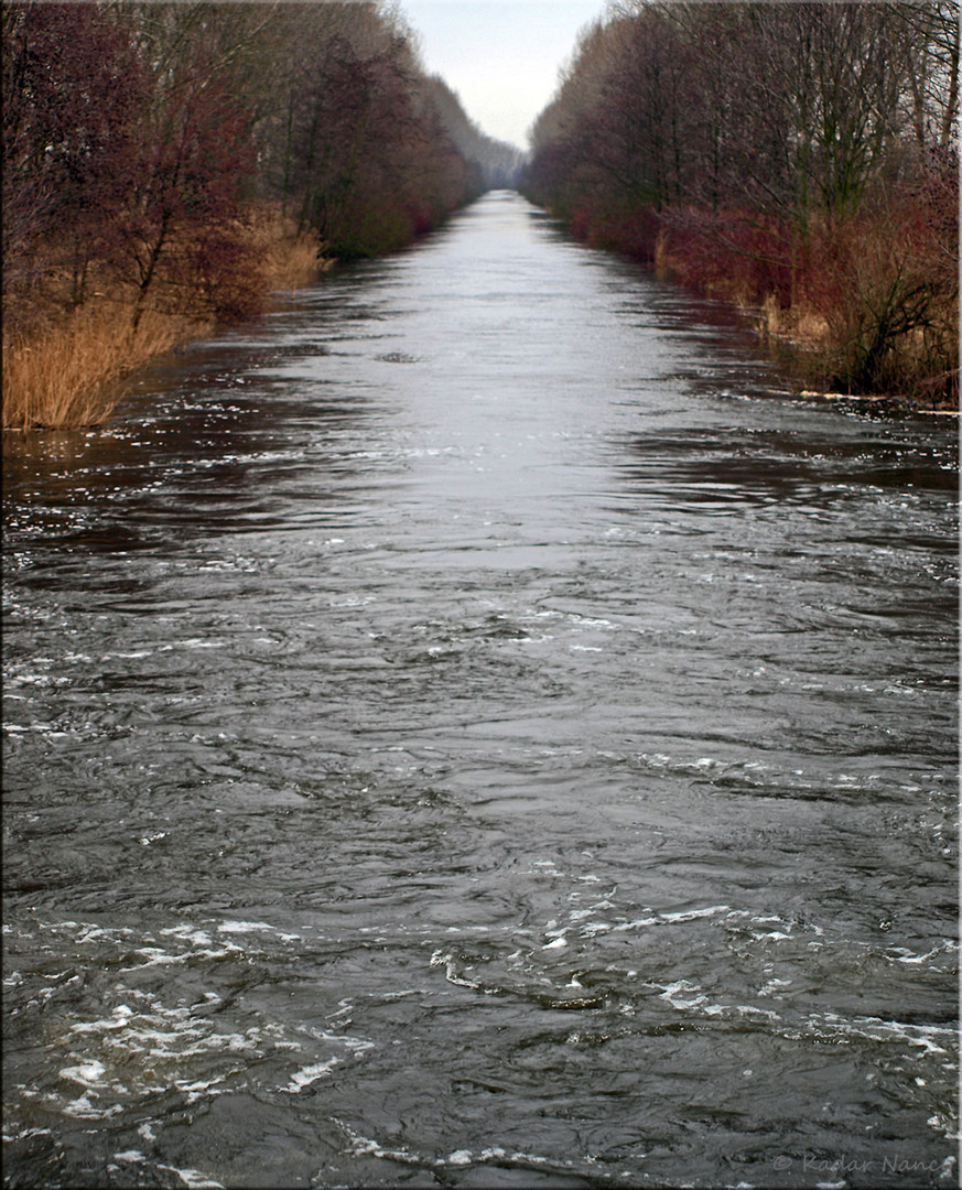 Die Nuthe - Naturpark Nuthe-Nieplitz