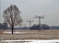 Die Nuthewiesen - Potsdam 3