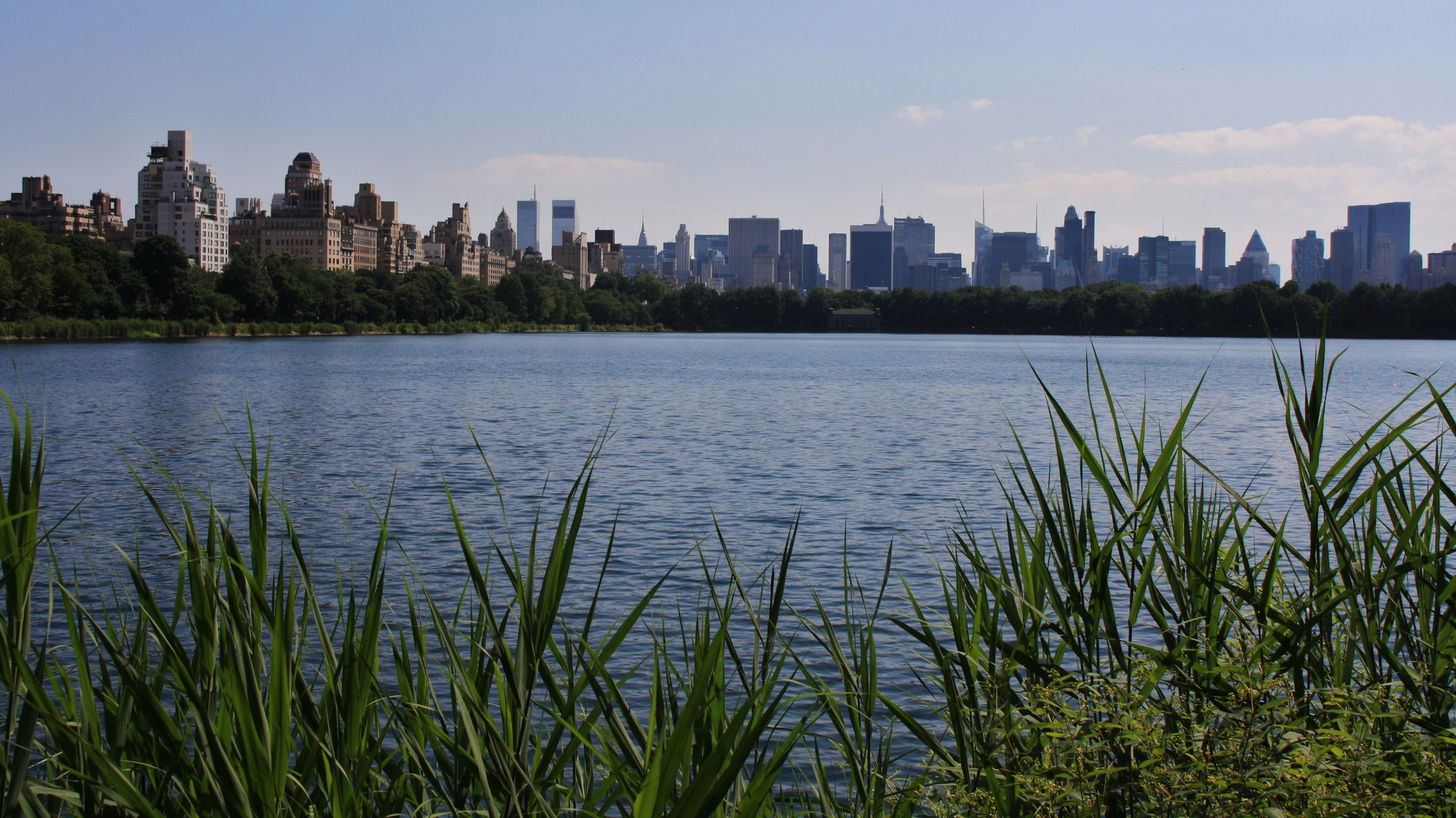 Die Oase New Yorks - der Central Park