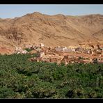 Die Oasen bei Tinerhir, Marokko...