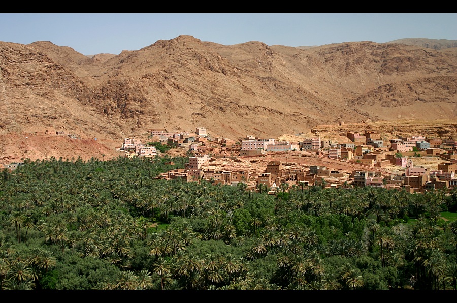 Die Oasen bei Tinerhir, Marokko...