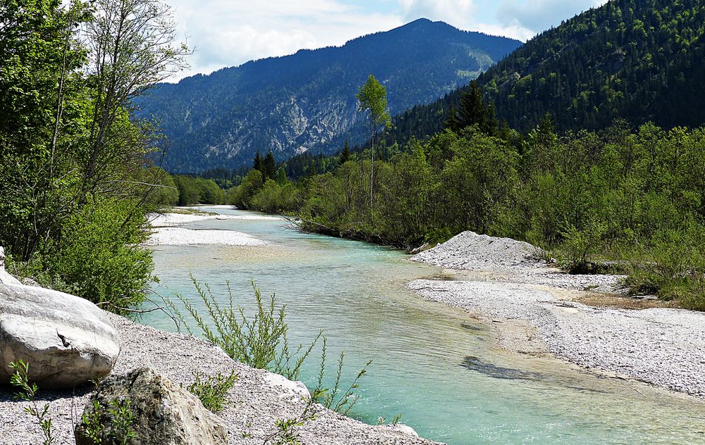 Die obere Isar Foto & Bild | landschaft, jahreszeiten, frühling Bilder