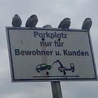 die "oberen Parkplätze"