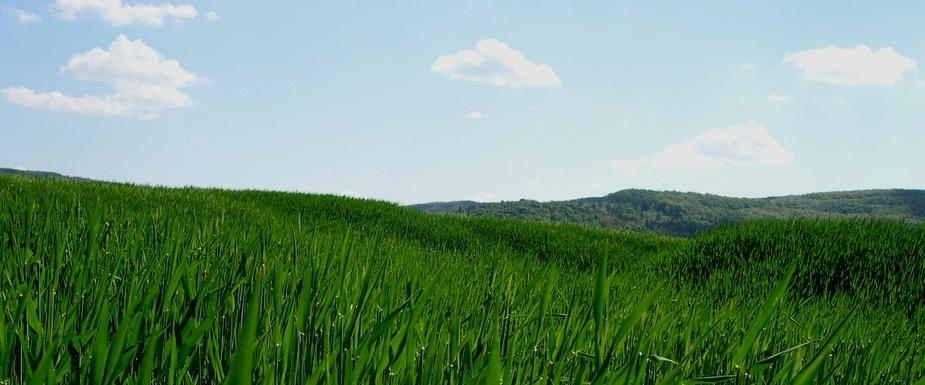 Die oberfränkische Hügellandschaft ;-)