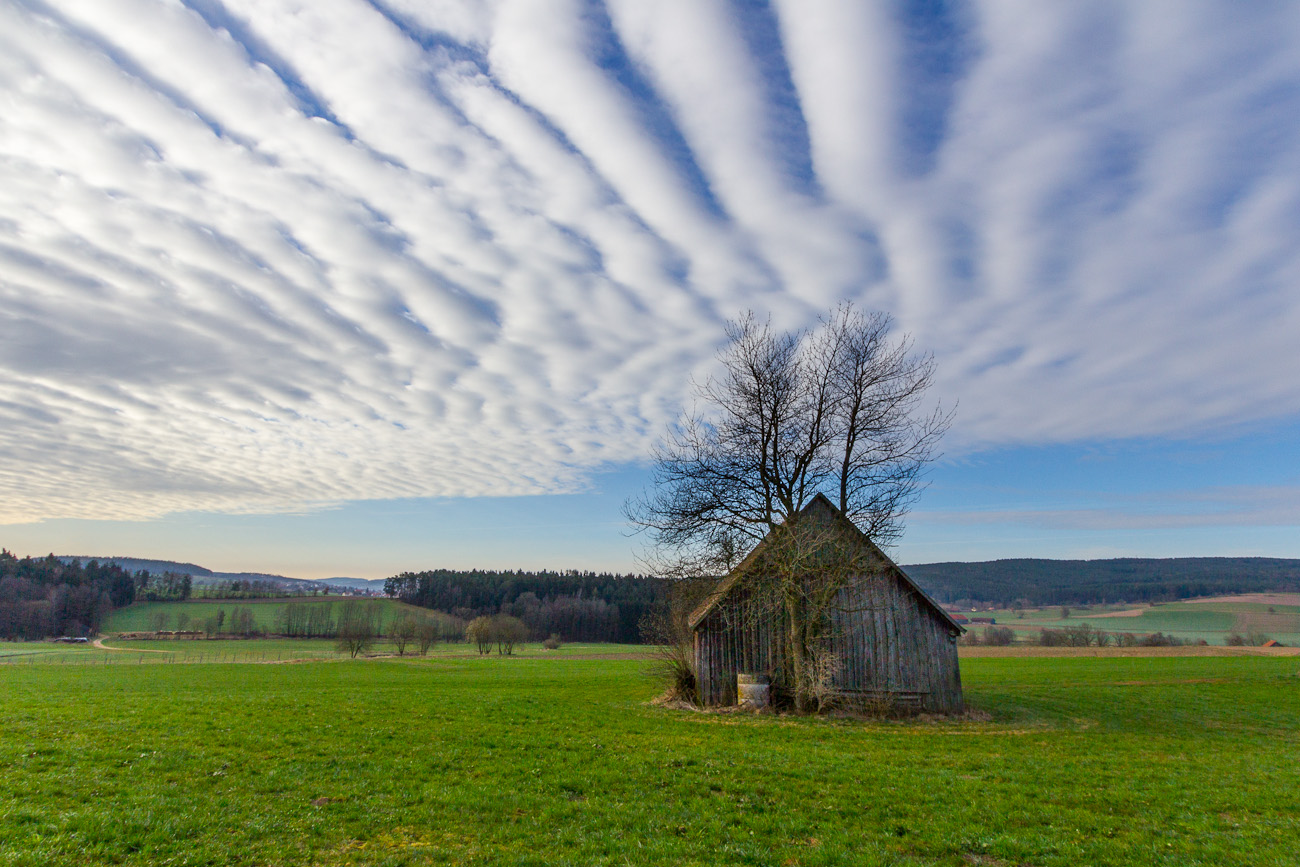 die oberpfalz