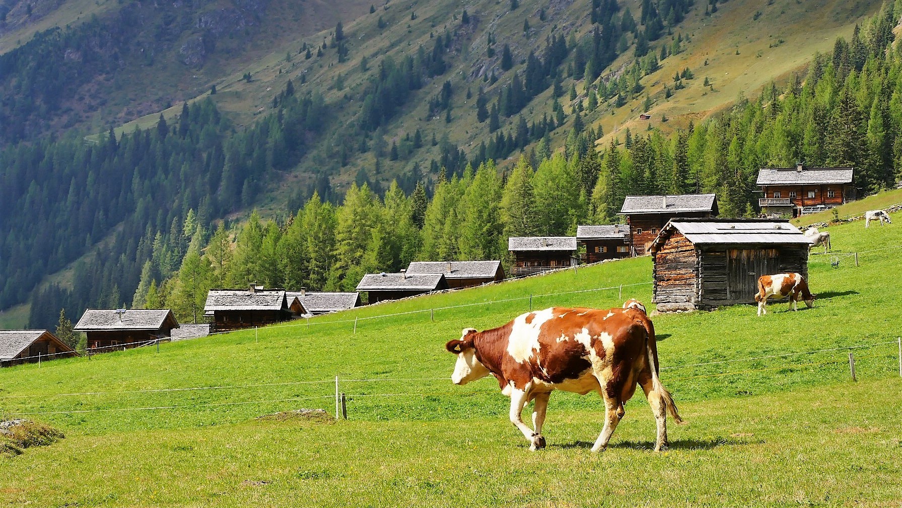 Die Oberstalleralm