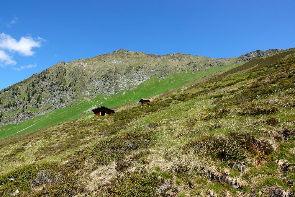 die Ochsenalm