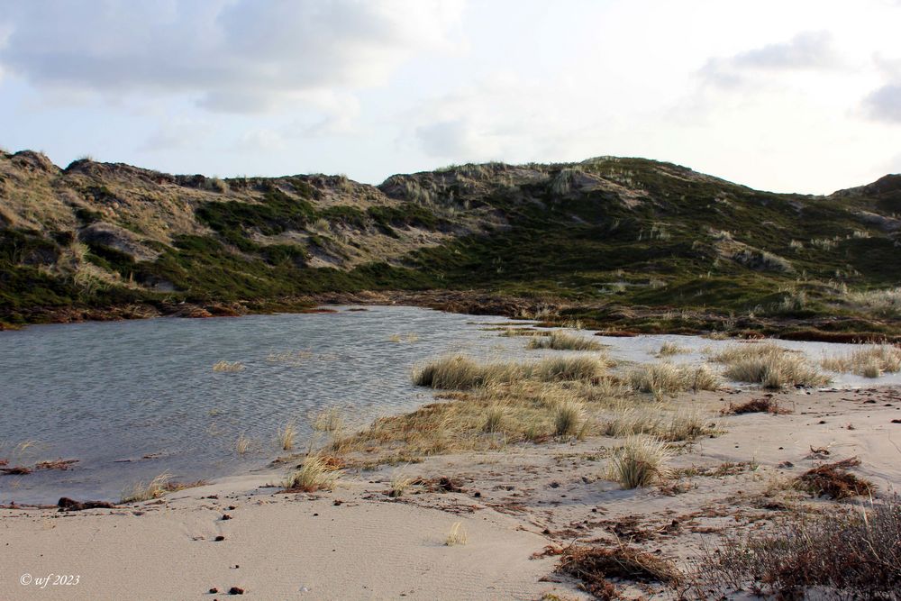 Die ODDE Foto & Bild landschaft, meer & strand, dünen Bilder auf