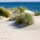 Die Odde, mit Blick auf Föhr