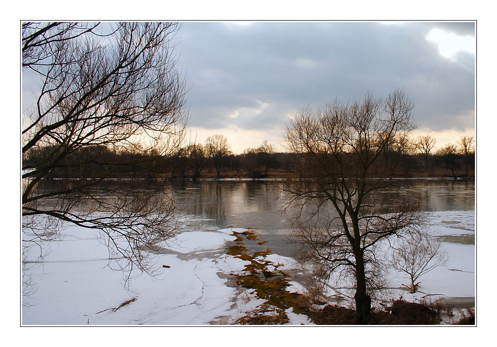 die oder am 4. märz 2006 in küstrin (1)