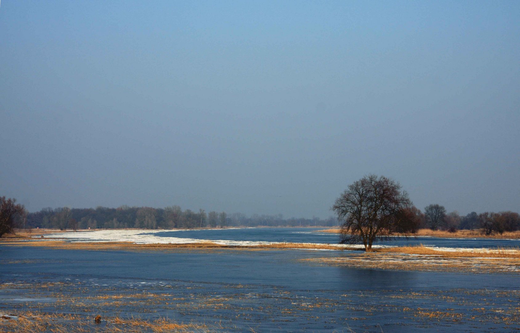 Die Oder bei Küstrin