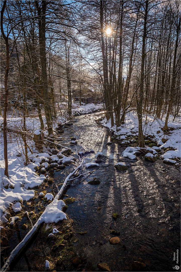 Die Oder im Harz