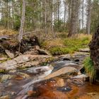 Die Oder im Harz