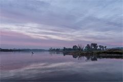 Die Oder im Morgengrauen