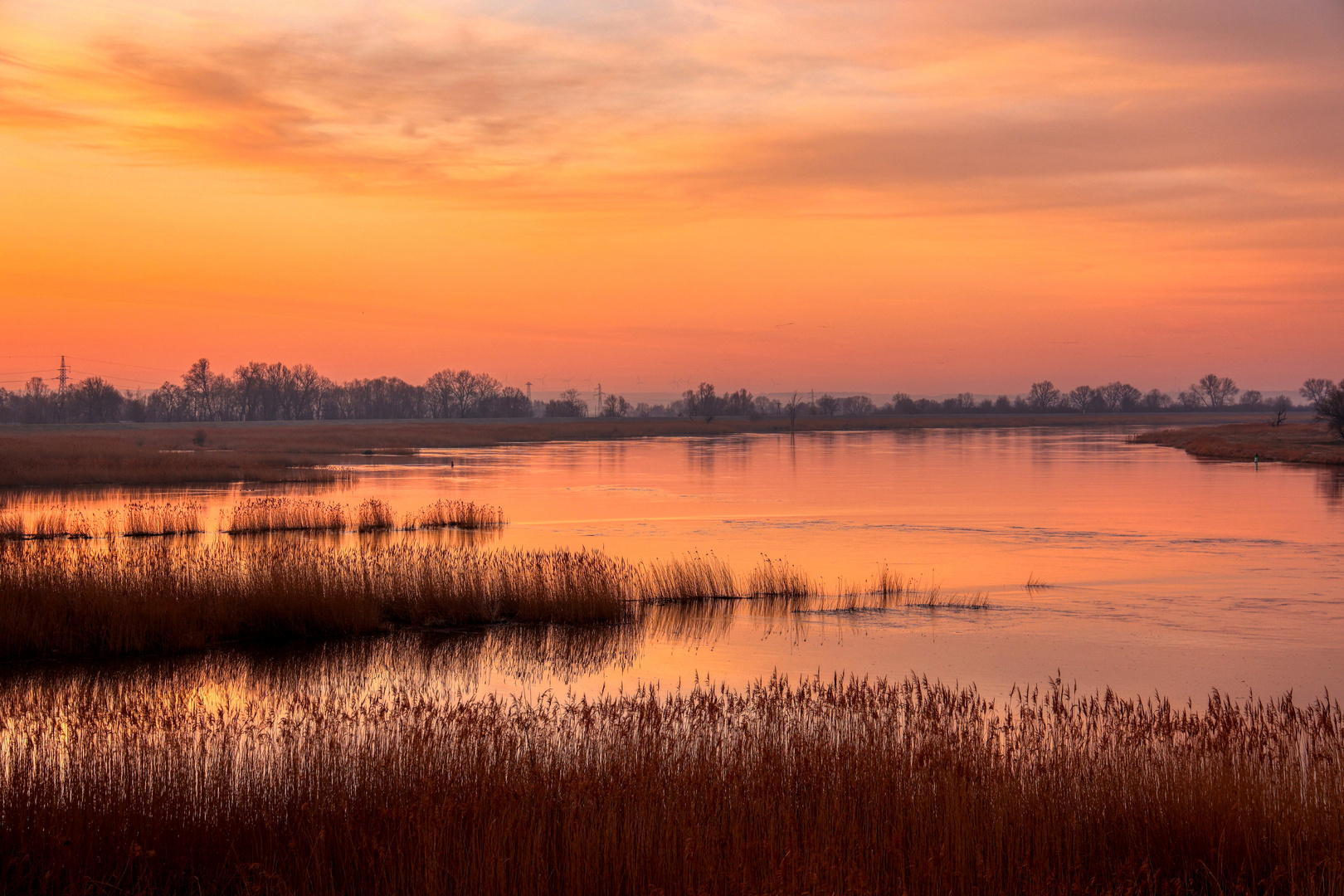 die Oder im Morgenrot