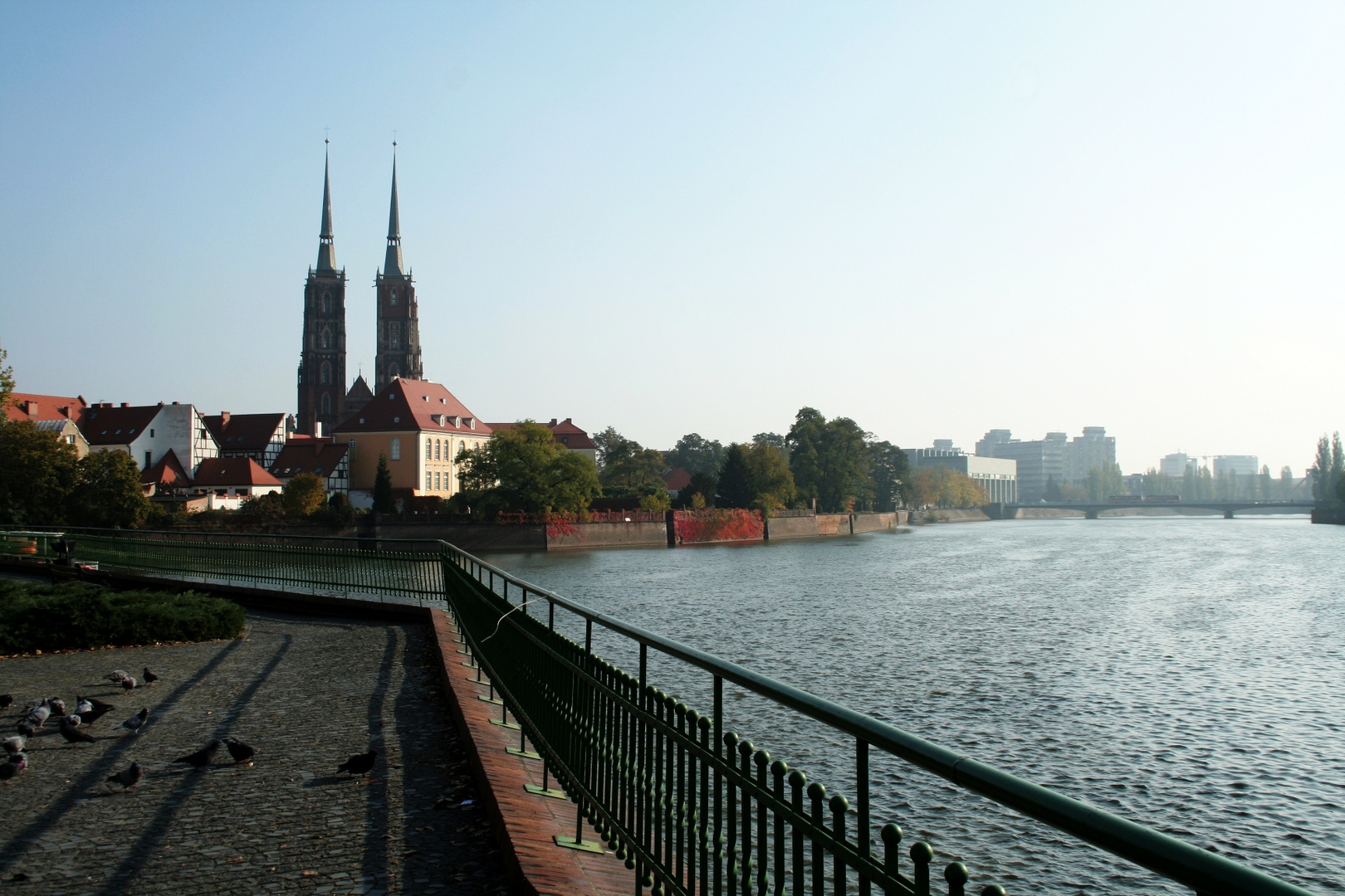 Die Oder in Breslau