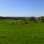 Die Oderhänge bei Mallnow, von Südosten gesehen